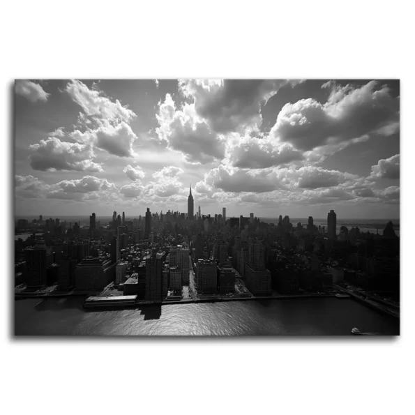 Urban Pulse in Monochrome