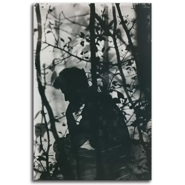 Whispers in Shadows