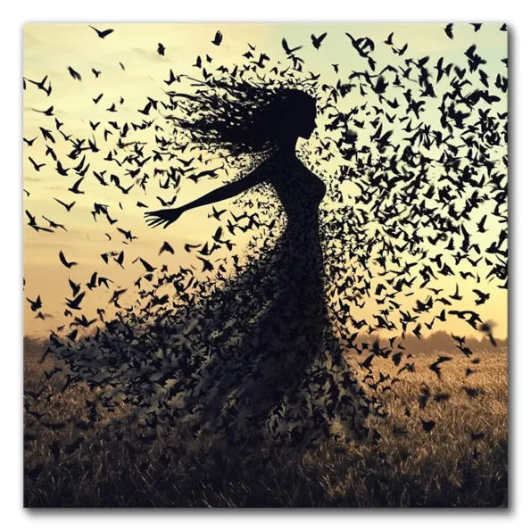Freedom in Flight