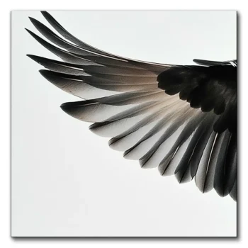 Spread Your Wings and Fly