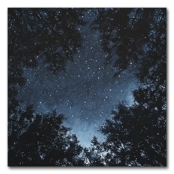 Starry Night Sky Awaits You