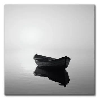 Alone in the Misty Waters