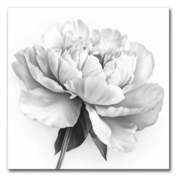 Blooming in Monochrome Glory