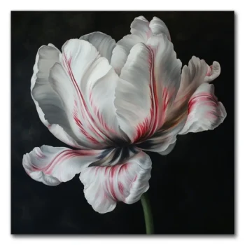 Let's Talk Tulips