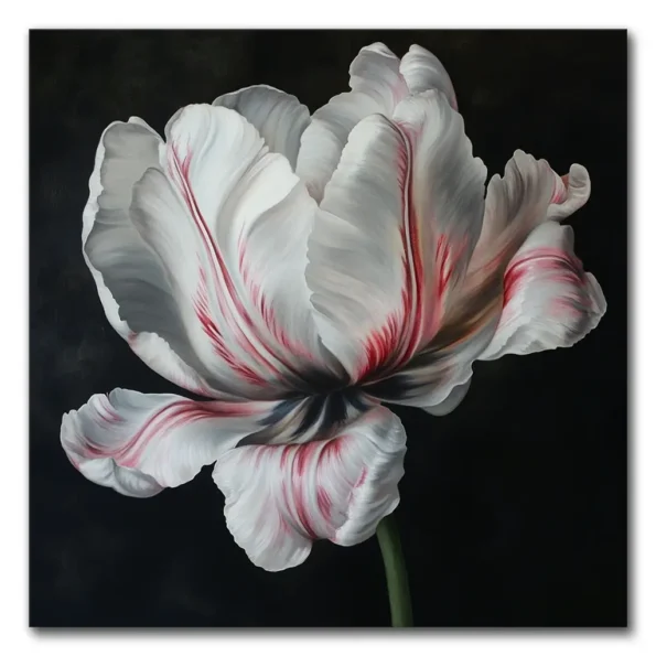 Let's Talk Tulips