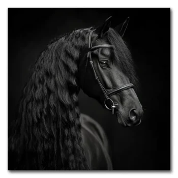 Mane of the Night