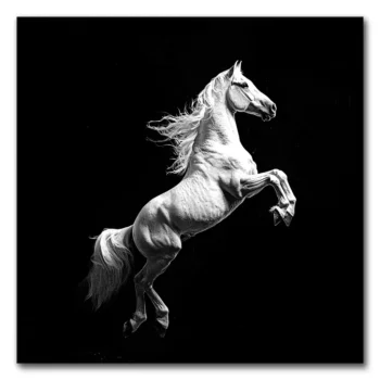 Majestic Rearing White Horse
