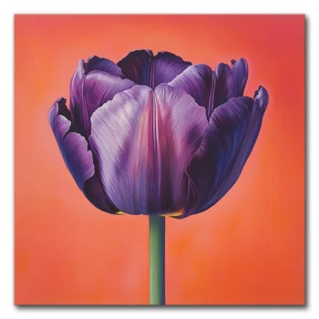 Purple Tulip Gets Real