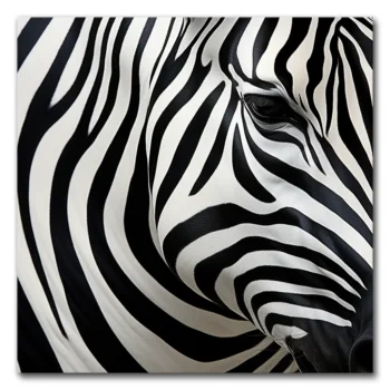 Stripes of Enchantment