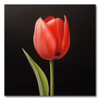 Tulip Tales
