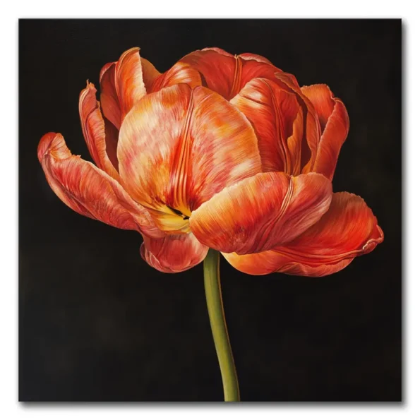 Tulip Tease in Bold Colors