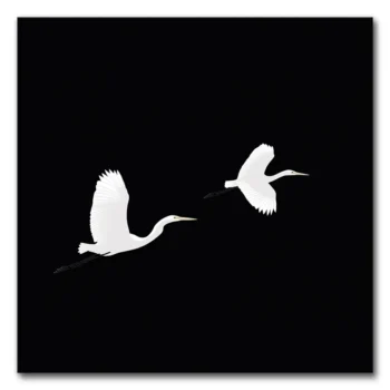 Wings of Minimalism