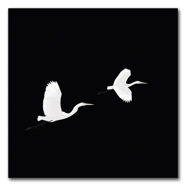 Wings of Minimalism