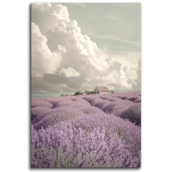 Dreaming in Lavender