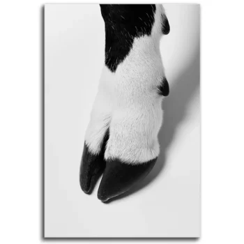 Moo's Got Sole