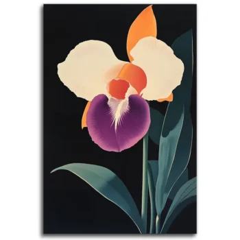 Orchid on Black: A Floral Showstopper