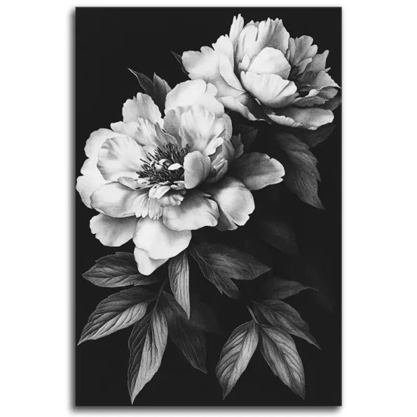 Petals and Shadows