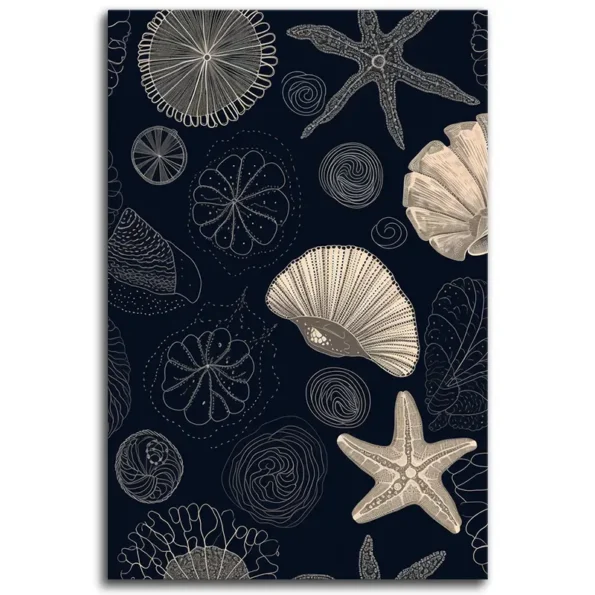 Seashells and Stars Unplugged