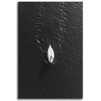 Swan Song in Shadows