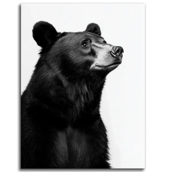 Bearly Vogue