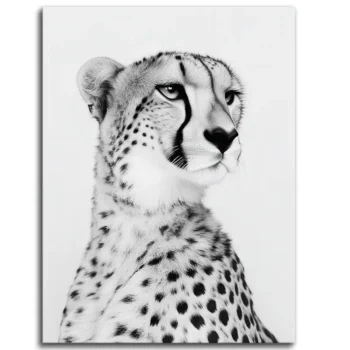 Cheetah's Cool Gaze
