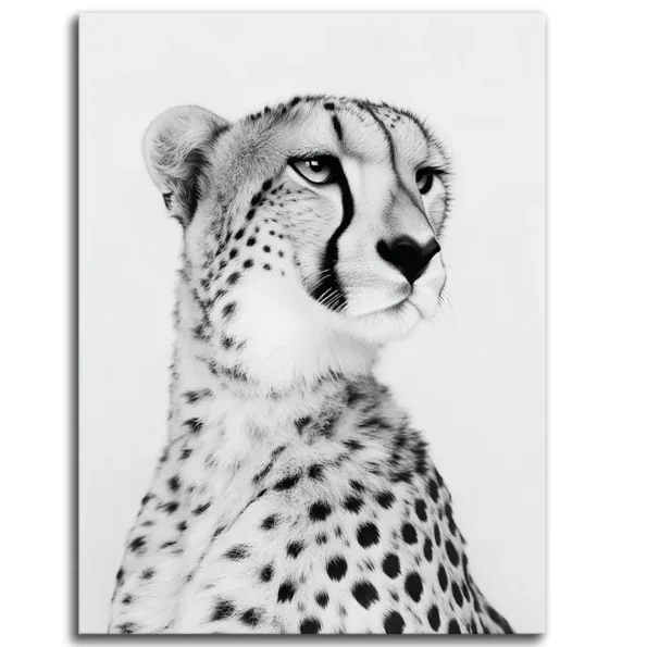 Cheetah's Cool Gaze