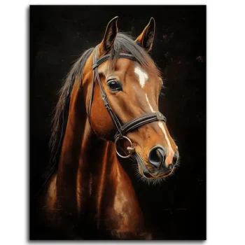 Horses Know Best