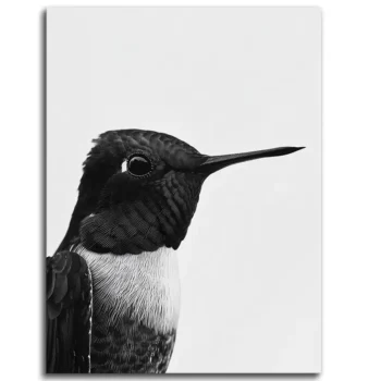 Hummingbird in Monochrome