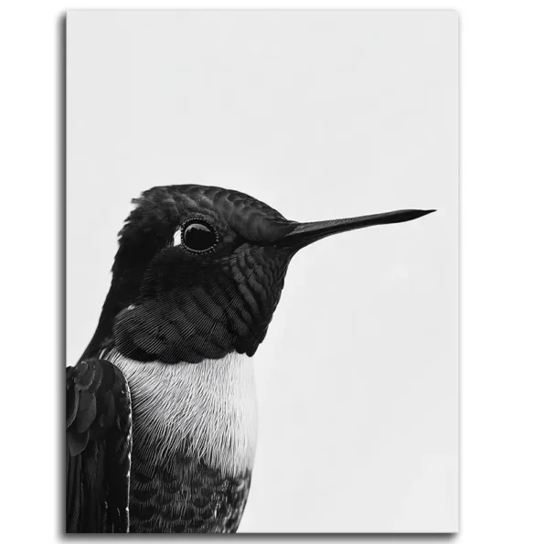 Hummingbird in Monochrome