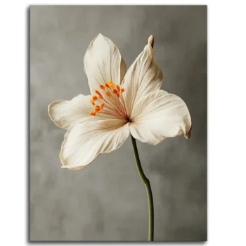 Petal Soft Rebellion