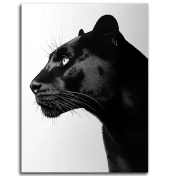 Prowling in Shadows