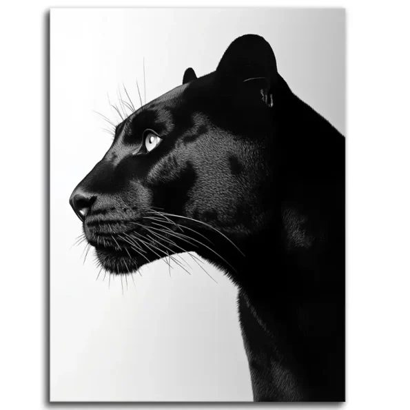 Prowling in Shadows