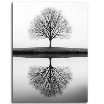 Reflections of Solitude