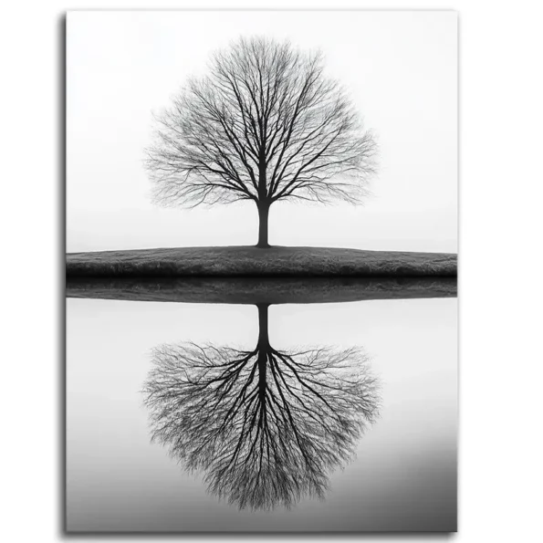Reflections of Solitude