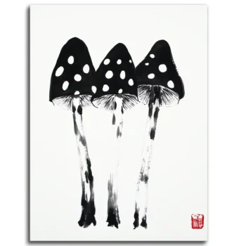 Spots of Enigma