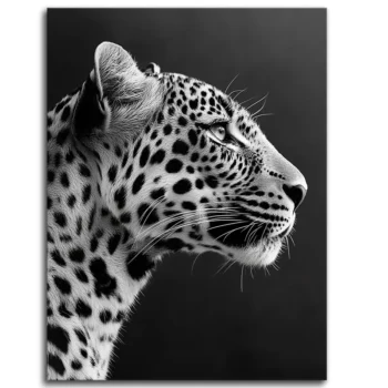 Spots of Wisdom