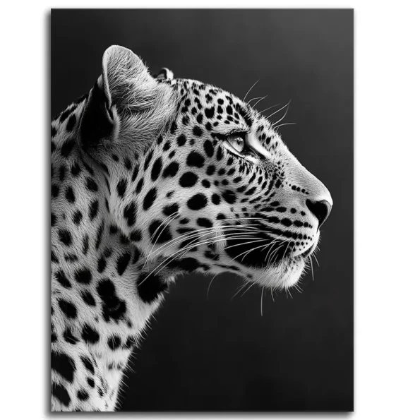 Spots of Wisdom