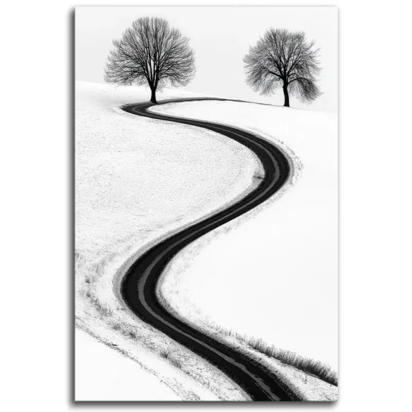 Curves of Life