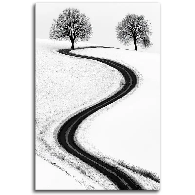 Curves of Life