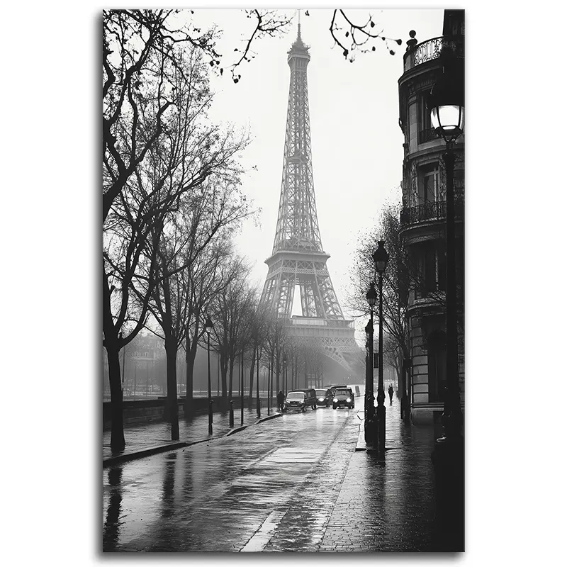 Paris in the Rain