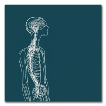 Know Your Body
