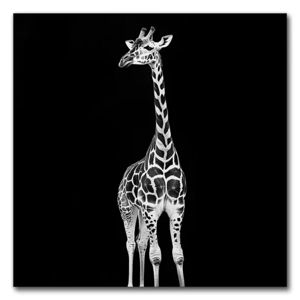 Stand Tall